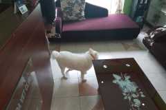 IMG-20220322-WA0006