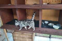 IMG-20220322-WA0007