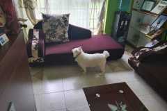IMG-20220322-WA0008