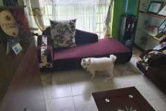 IMG-20220322-WA0009