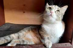 IMG-20220322-WA0014