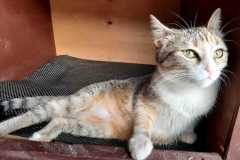 IMG-20220322-WA0015