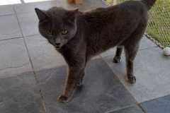 IMG-20220322-WA0019