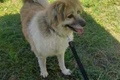 IMG-20220322-WA0020