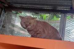 IMG-20220322-WA0021