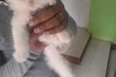 IMG-20220322-WA0022